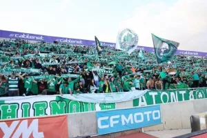 Φωτορεπορταζ/Το... πρασίνισαν οι Ομονοιάτες!