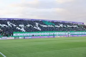 Φωτορεπορταζ/Το... πρασίνισαν οι Ομονοιάτες!