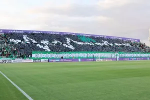 Φωτορεπορταζ/Το... πρασίνισαν οι Ομονοιάτες!