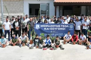 Απόλλωνας/Δεντροφύτευση στη Φασούλα
