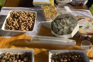 Nations Culture Night (φώτος)