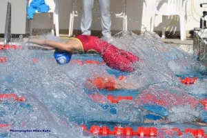 Παγκύπρια Ημερίδα Πρόκρισης