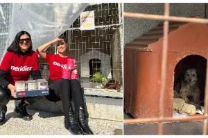 Στο πλάι του καταφύγιου Sirius Dog Sanctuary η Meridian!