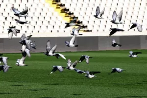 (171 ΦΩΤΟΣ) Οι καλύτερες στιγμές του πρωταθλήματος σε... κλικ 