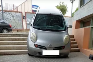 "Στάθμευσε" στα σκαλιά (βίντεο)