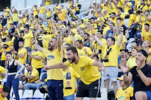 (Φωτορεπορτάζ) Φουλ... στο κίτρινο η Δυτική και το Νότιο πέταλο