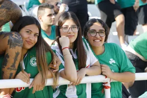 (Φωτορεπορτάζ) Τίγκα... στο πράσινο η Ανατολική και το Βόρειο Πέταλο
