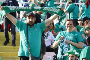 (Φωτορεπορτάζ) Τίγκα... στο πράσινο η Ανατολική και το Βόρειο Πέταλο