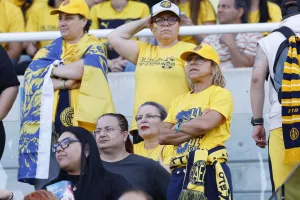 (Φωτορεπορτάζ) Φουλ... στο κίτρινο η Δυτική και το Νότιο πέταλο