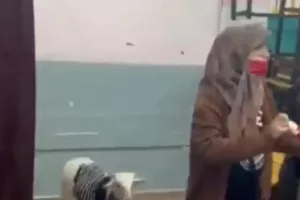 Με το... αρνί της ψήφισε μια νεαρή!