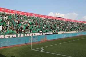 (Φωτορεπορτάζ) Τίγκα... στο πράσινο η Ανατολική και το Βόρειο Πέταλο