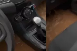 Στιγμές τρόμου για οδηγό στην Χαλκιδική: Ορμητικός χείμαρρος παρασύρει όχημα με τον ίδιο μέσα (βίντεο)