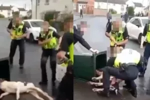 Αγγλία: Αστυνομικοί χτύπησαν με taser σκύλο και έπειτα τον έβαλαν σε κάδο σκουπιδιών!