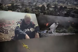 Μαχητές για τις φωτιές στη Ρόδο: "Ανεπαρκής πυροσβεστική δύναμη και κάψιμο τεράστιας έκτασης άγριας φύσης"