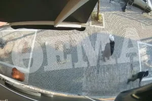 Καρέ καρέ η επίθεση στο κατάστημα γνωστού τράπερ