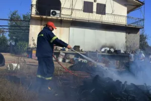 Προφυλακίστηκε ο 30χρονος που είχε ομολογήσει ότι έβαζε πυρκαγιές από πρόθεση