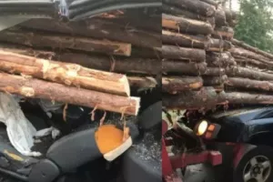 Σώθηκε από θαύμα: «Καρφώθηκε» σε φορτηγό γεμάτο με κορμούς δέντρων