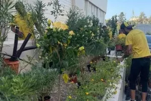 ΑΕΚ: Ξεκίνησε η δενδροφύτευση γύρω από την «OPAP Arena»