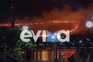 Πύρινη κόλαση στην Εύβοια: Ξεφεύγει το μέτωπο της φωτιάς στο Αλιβέρι