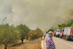 Πυροσβεστική για τις πυρκαγιές - Σε Ρόδο και Λακωνία τα μεγάλα μέτωπα
