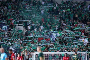 "☘️ Πανικός, πανικός 💚"