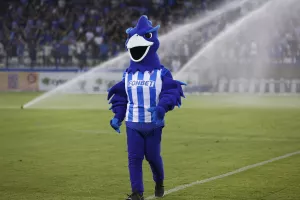 Ο Φοίνιξ!