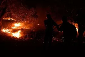 Φωτιά στον Έβρο: Μαίνεται για 8η μέρα η πυρκαγιά - Deadline δύο ημερών για την κατάσβεση στη Δαδιά
