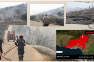 Φωτιά στον Έβρο: Ατελείωτος εφιάλτης με αναζωπυρώσεις