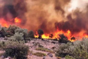 Εκκενώνονται εννέα οικισμοί στη Βοιωτία – Καλούνται οι κάτοικοι να μετακινηθούν προς Κυριάκι