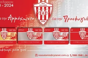 Διαρκείας και συλλεκτική ζιβανία