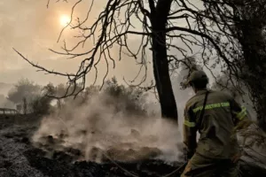 Ανείπωτη τραγωδία στον Έβρο: Εντοπίστηκαν τουλάχιστον 18 απανθρακωμένοι άνθρωποι