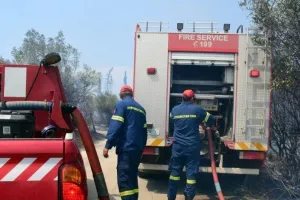Αναζωπυρώσεις σε Έβρο, Ροδόπη και Βοιωτία