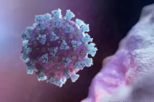 Προβληματισμός για την Eris – Κρούσματα σε 51 χώρες, φόβοι για εξάπλωση από Σεπτέμβριο