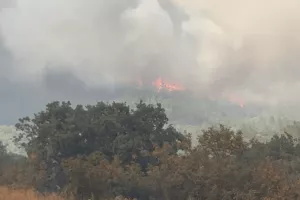 Φωτιά στην Αλεξανδρούπολη: Εκκενώνονται Νίψα, Αετοχώρι και Πεύκα (βίντεο)