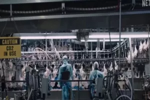 Χαμός με το ντοκιμαντέρ του Netflix που κάνει τους θεατές να θέλουν να «γίνουν vegan»