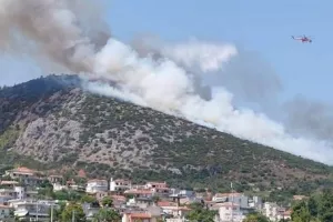 Φωτιά στον Αυλώνα: Ποινική δίωξη σε βαθμό κακουργήματος στον 45χρονο που συνελήφθη για εμπρησμό
