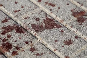 Τι έδειξε η ιατροδικαστική έκθεση για τη δολοφονία του Μιχάλη