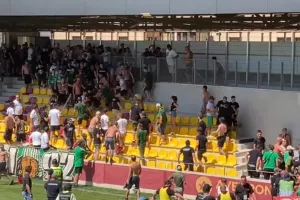 Έπαιξαν ξύλο... μεταξύ τους! 