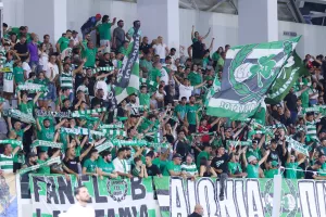 Το... πράσινο πέταλο (φώτος)