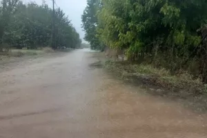 Πλημμύρες σε όλο σχεδόν τον νομό Τρικάλων (φώτος)