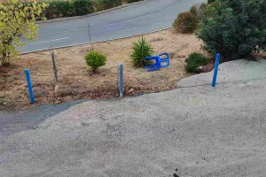Bανδαλισμοί στο "Θεμιστόκλειο" - Αντίδραση από Ανόρθωση