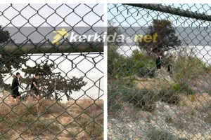 Μέχρι και σε λόφους σκαρφάλωσαν για τον Χάαλαντ και την παρέα του!