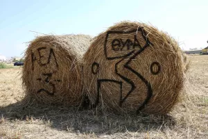 ΑΕΛ/Ιστορία