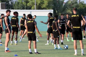 Light σχήμα ή «βαρύ» πυροβολικό