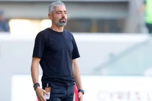 Γαρπόζης/Επαγγελματισμός