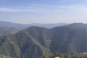 Κύκκο... ο Κβίλι (Φώτος)