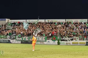 Θύρα 9 για Δασάκι
