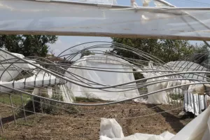  Ανεμοστρόβιλος σάρωσε θερμοκήπια και ελιές στα Χανιά