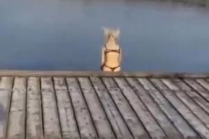 Πόνεσε πολύ... 