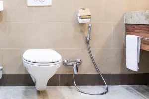 Ζευγάρι έπινε νερό τουαλέτας χωρίς να έχει ιδέα...